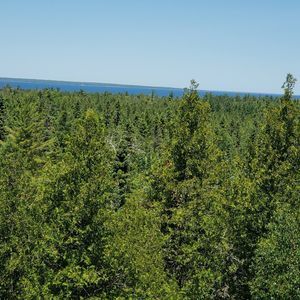 Meet your Posher, Joshua